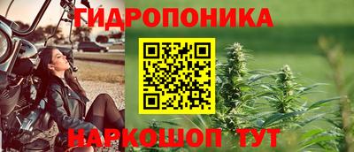 гидра Бузулук