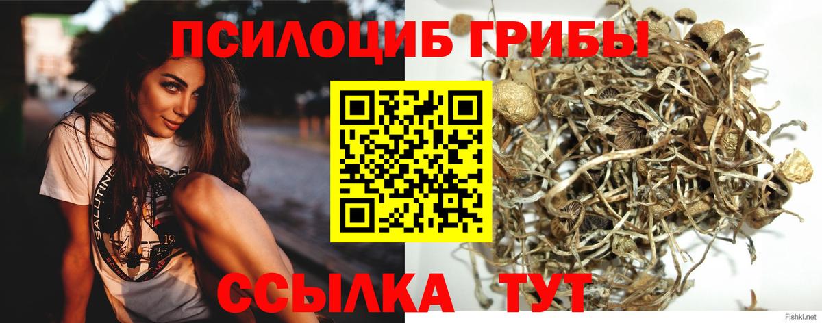Галлюциногенные грибы мицелий Михайловка