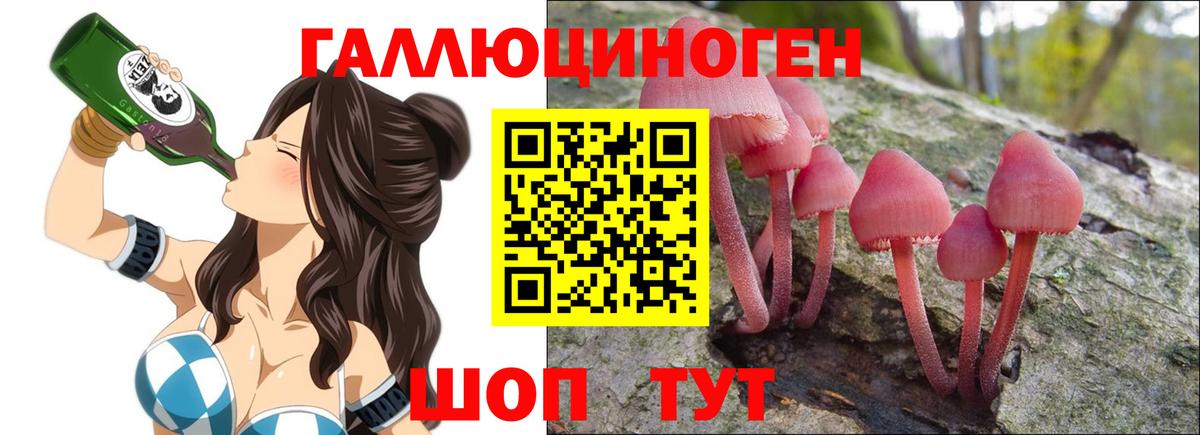 Михайловка  Псилоцибиновые грибы прущие грибы  Псилоцибиновые грибы прущие грибы  Вход с VPN 